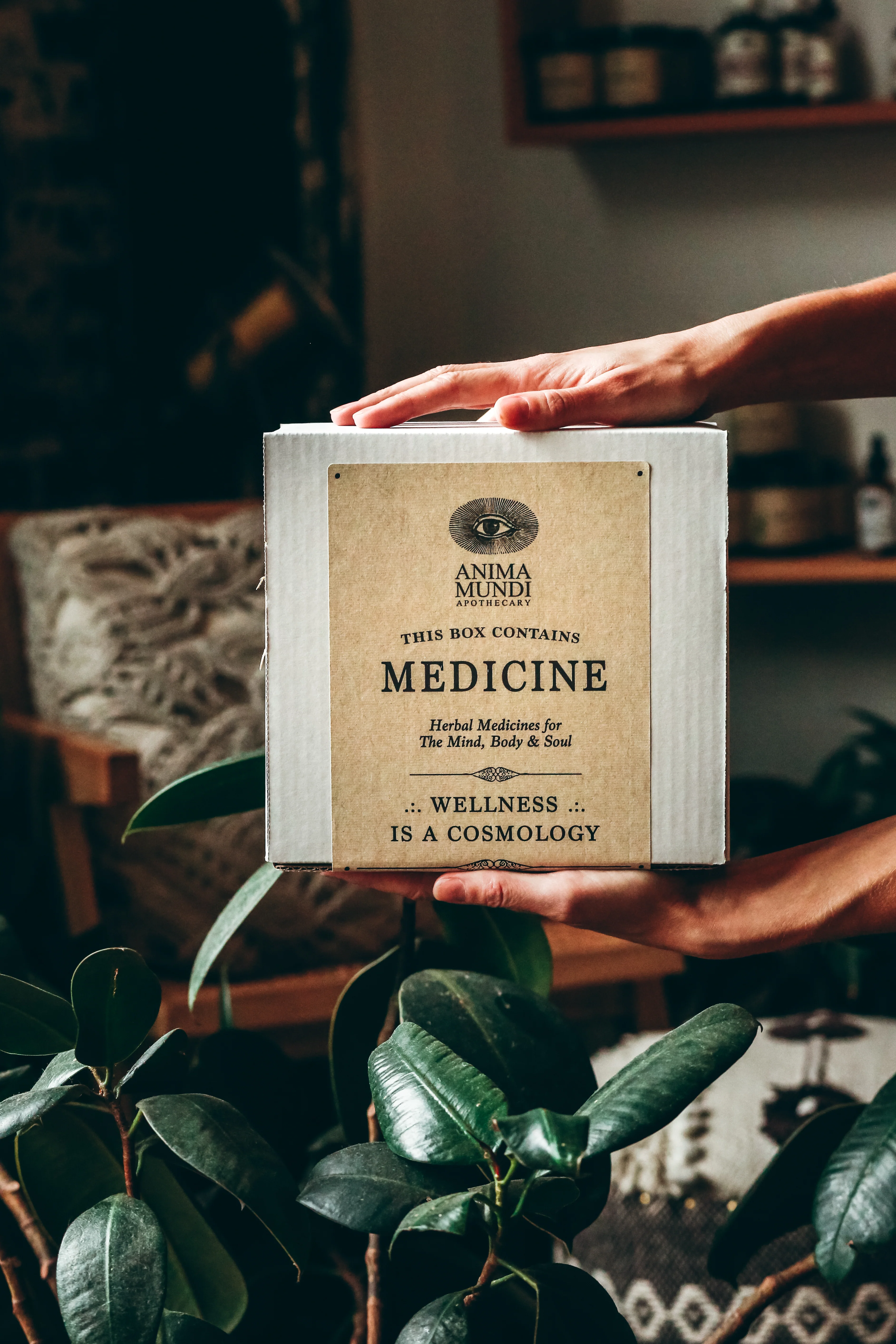 Collagen Oil + Gua Sha | BUNDLE - Image 5