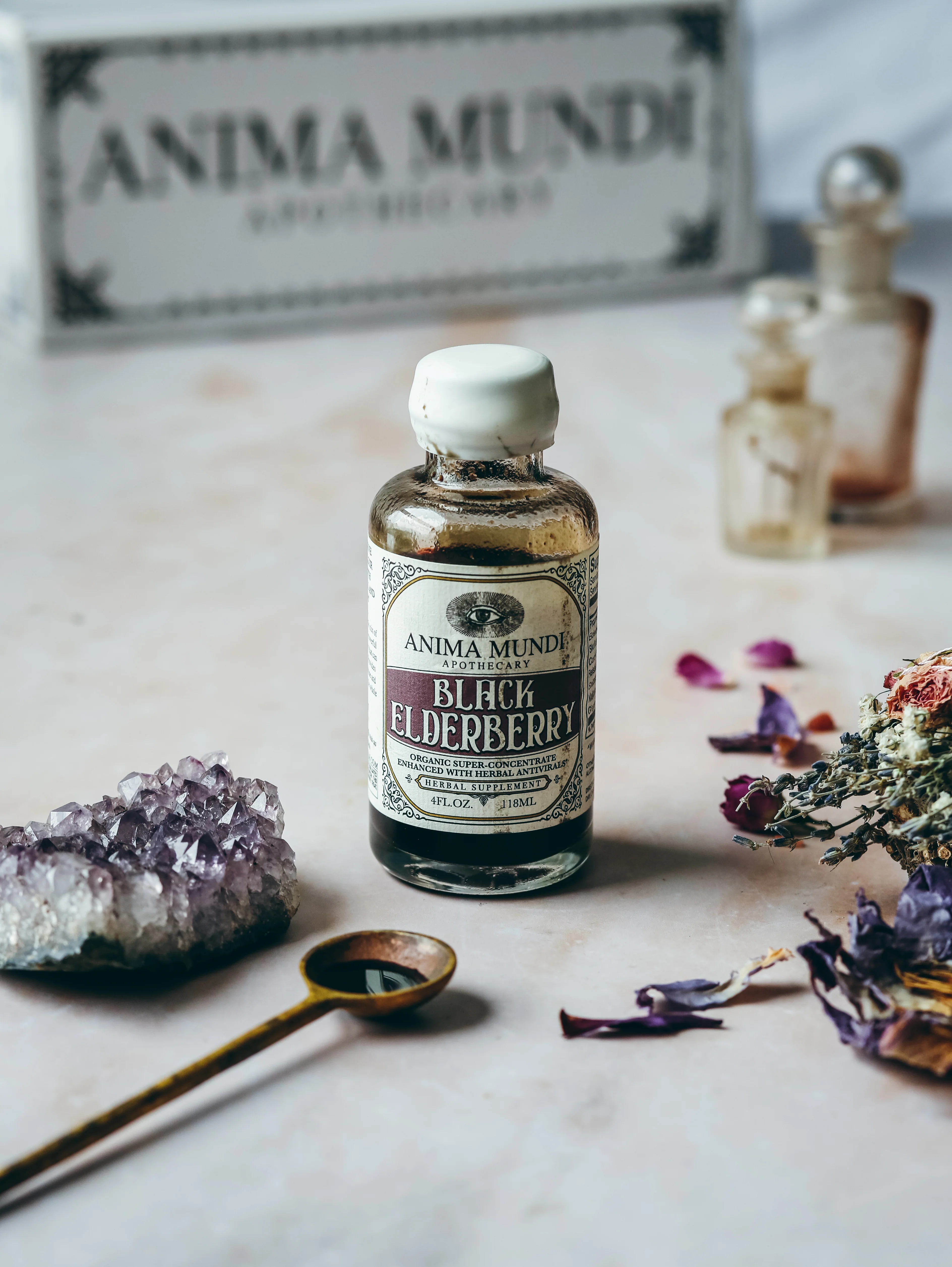 BLACK ELDERBERRY Elixir | Botanical Mushroom Syrup - Image 3