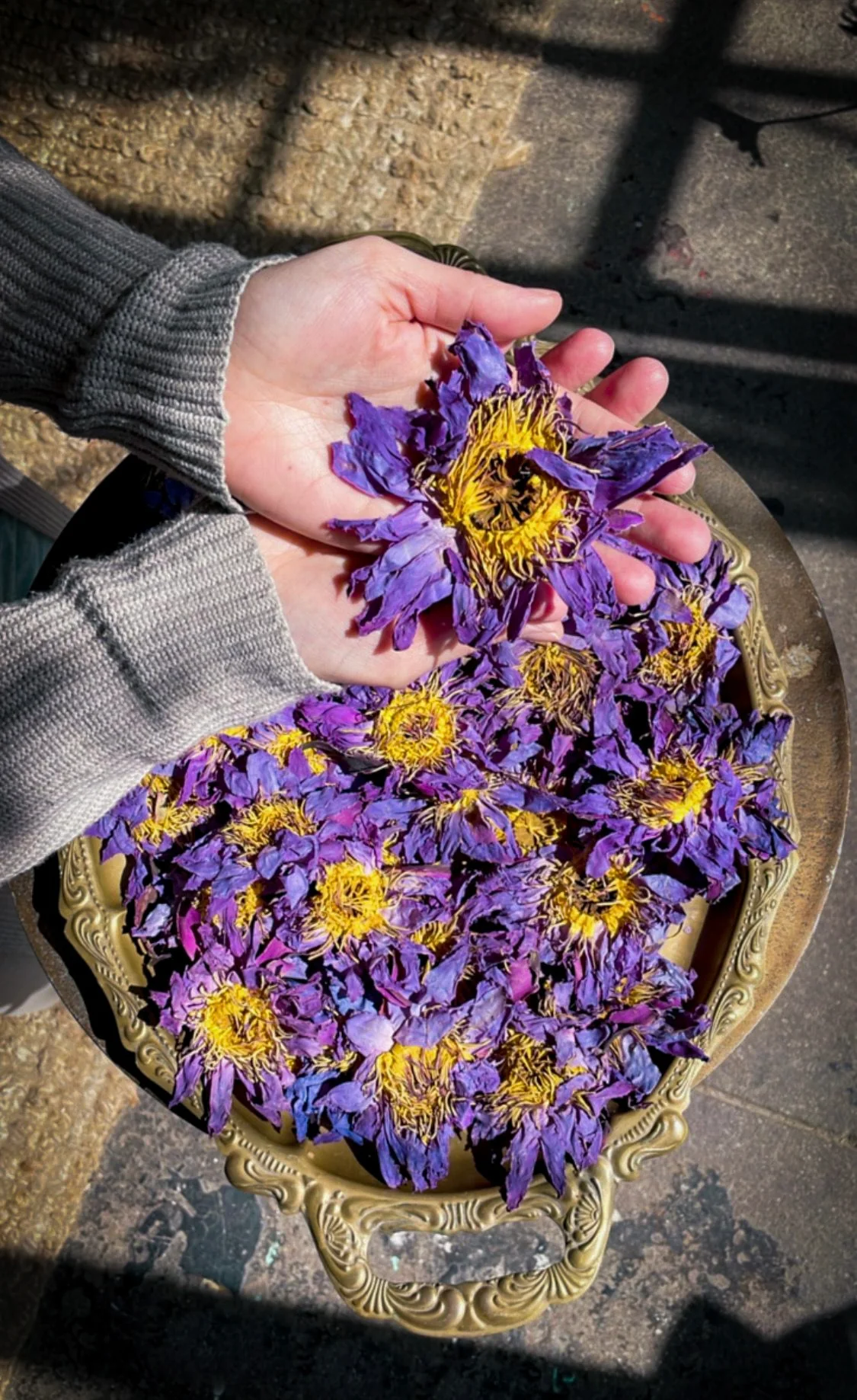 Flower Trio | BUNDLE - Image 9
