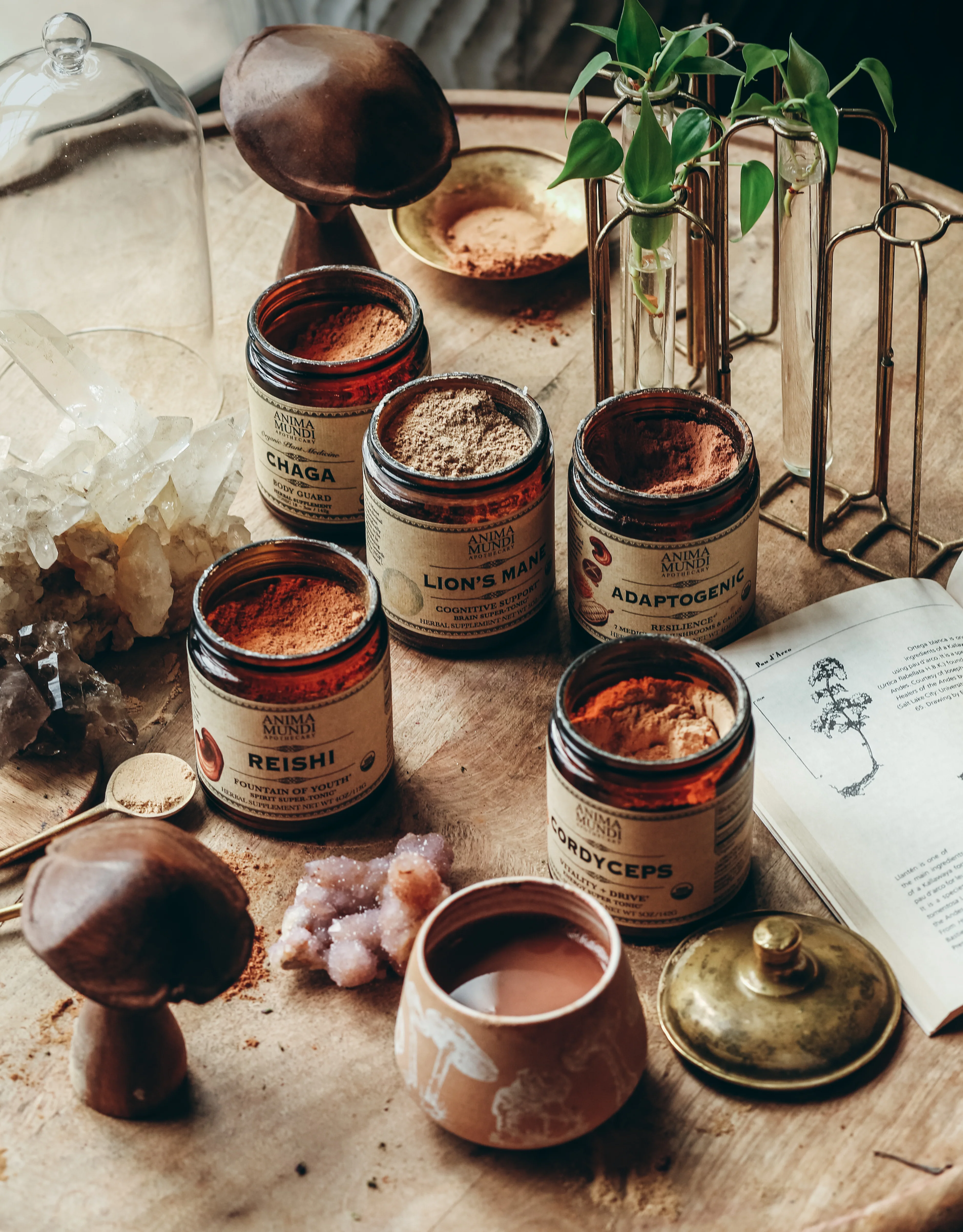 LION'S MANE | Organic Mushroom Powder, Focus Tonic* - Image 3