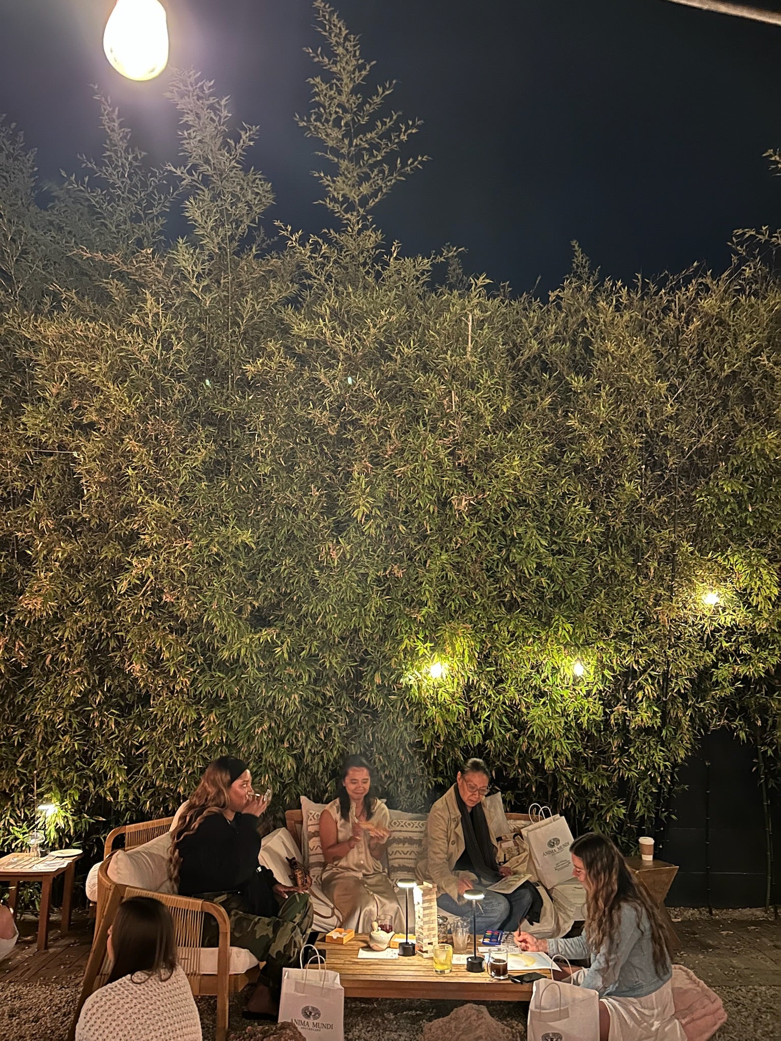 Moon Garden: Tea & Disco - Image 2