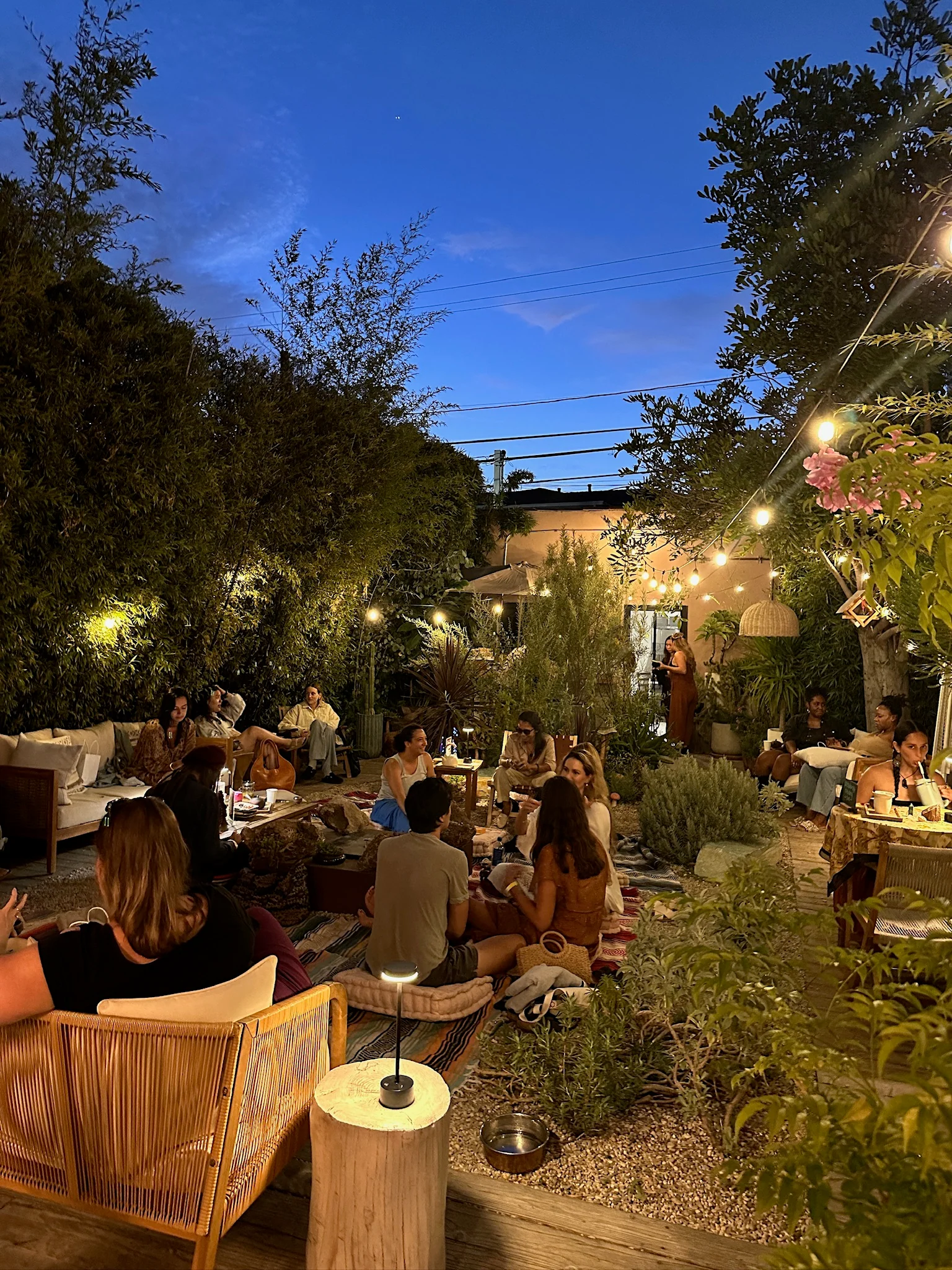 Moon Garden: Tea & Disco - Image 4