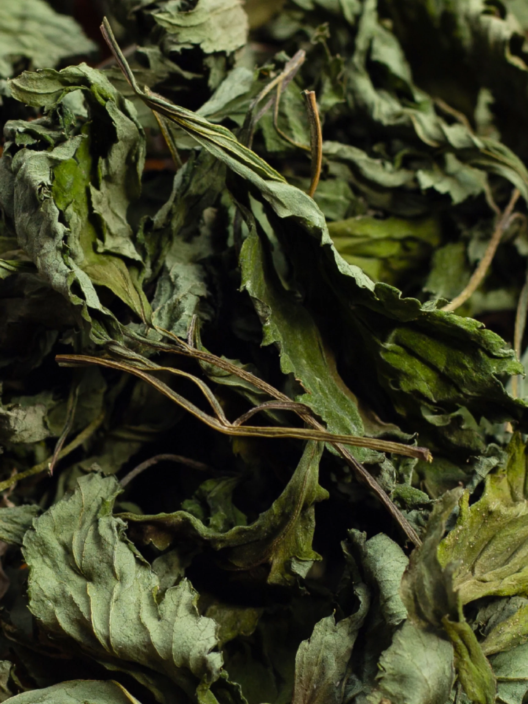 Mugwort Leaf, Organic