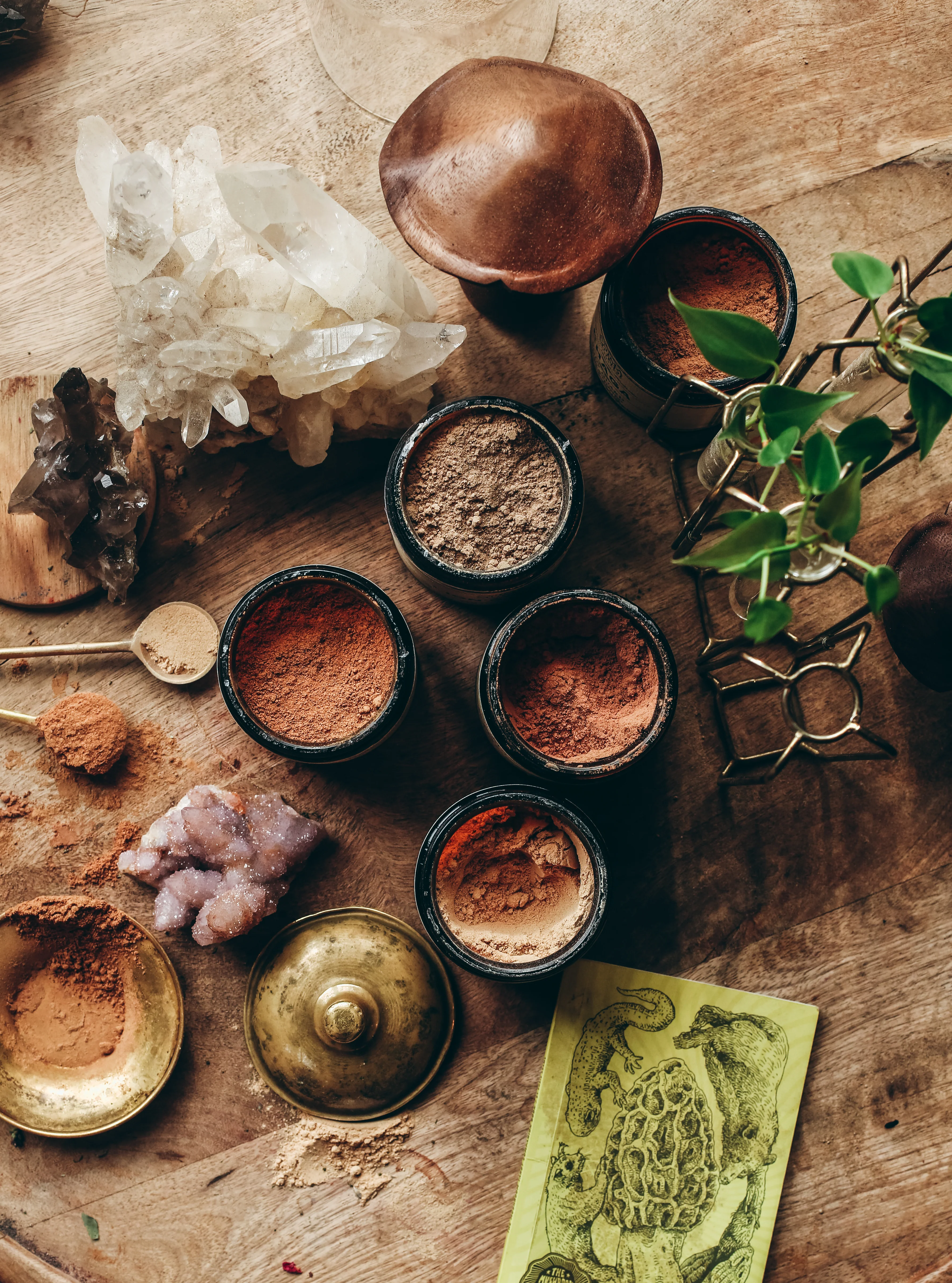 REISHI | Organic Mushroom Powder, Spirit Super-Tonic* - Image 10