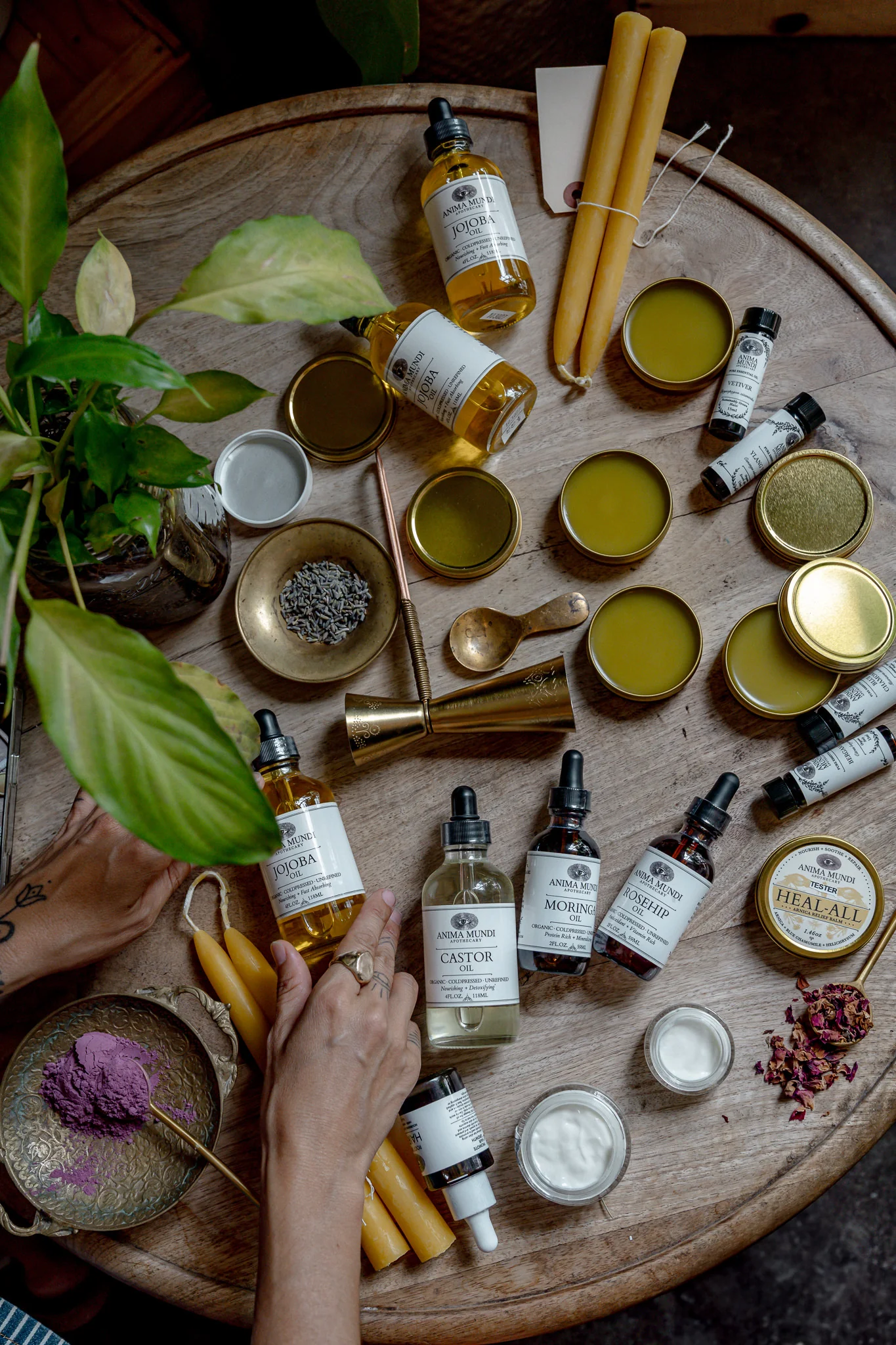 ROSEHIP OIL | Organic, Coldpressed, Unrefined - Image 6