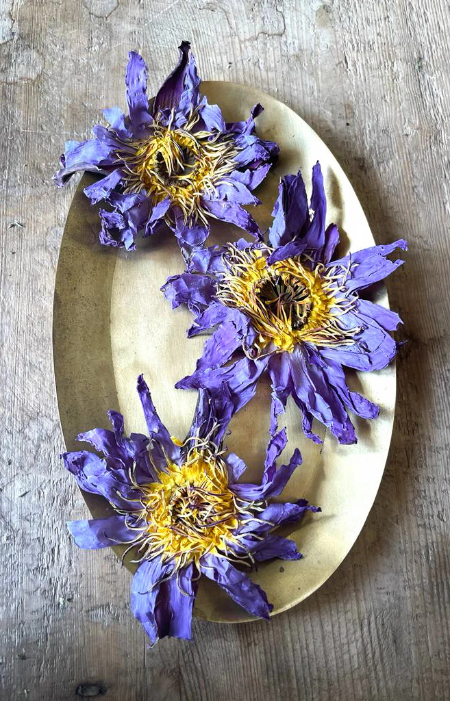 WHOLE BLUE FLOWERS | Blossoms of Intuition* - Image 11